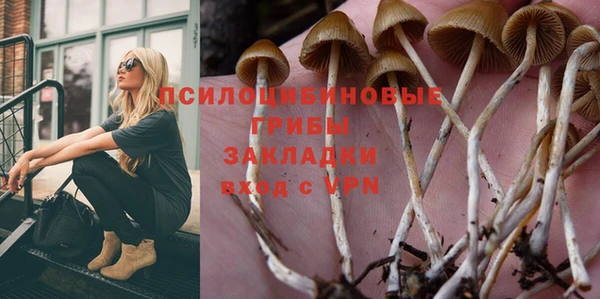 бутират Алзамай