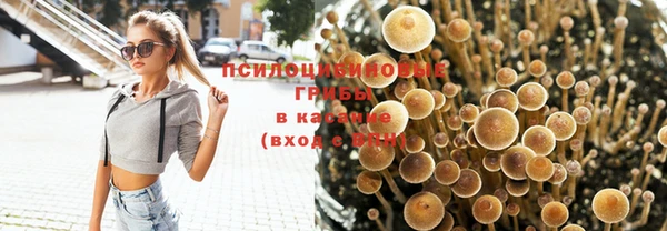 бутират Алзамай