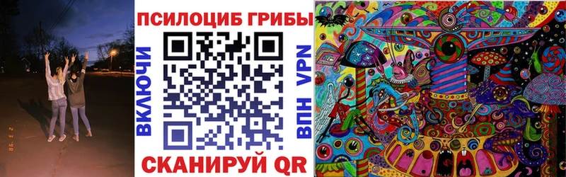 закладки Калач-на-Дону KRAKEN как войти Галлюциногенные грибы Cubensis